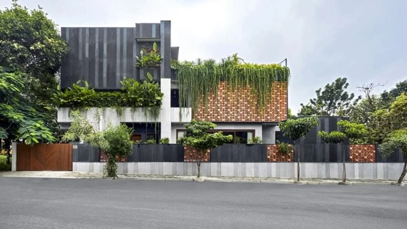 דיאלוג הודי בין האדמה, הרוח והשמש