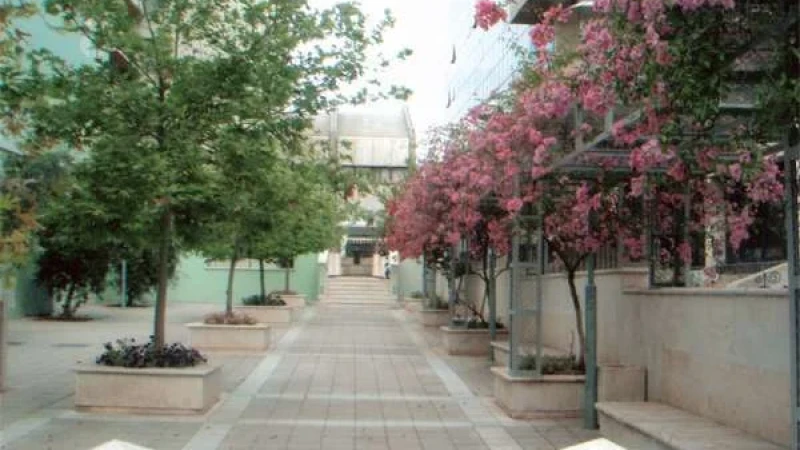 כיכר ציון תל אביב