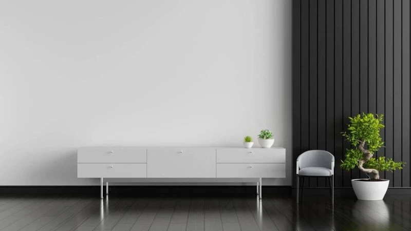 מזנון שחור- מה חשוב לדעת?