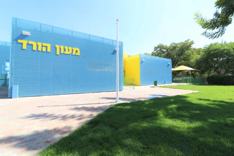 מלכי לוין: עושה בית ספר לגני ילדים