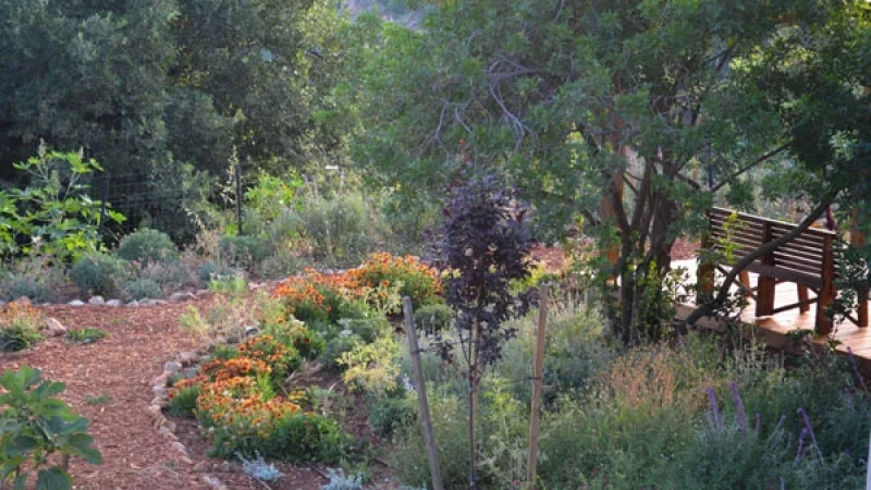 לידתו של גן