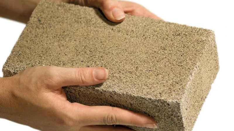 כשהבקטריות מייצרות מלט ושבבי העץ משתלבים בו