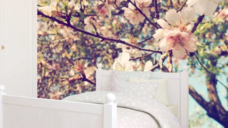 קירות מדברים