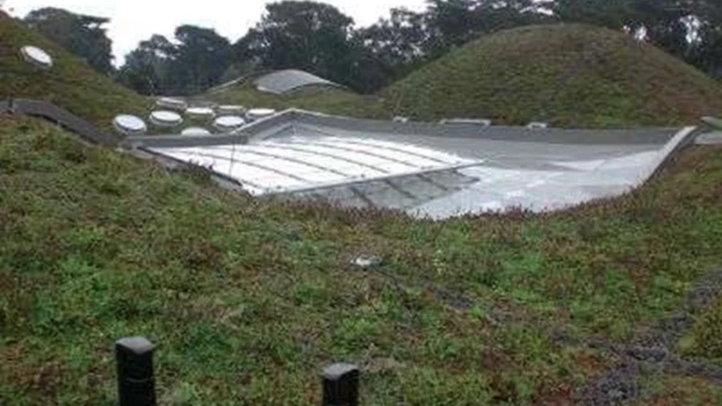 עיצוב דירות בבנייה ירוקה