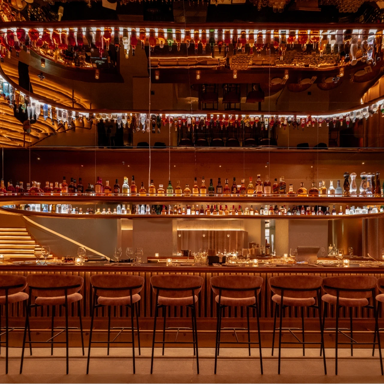 "כמו אליס, נפלנו דרך מחילת השפן ומצאנו עולם חדש"