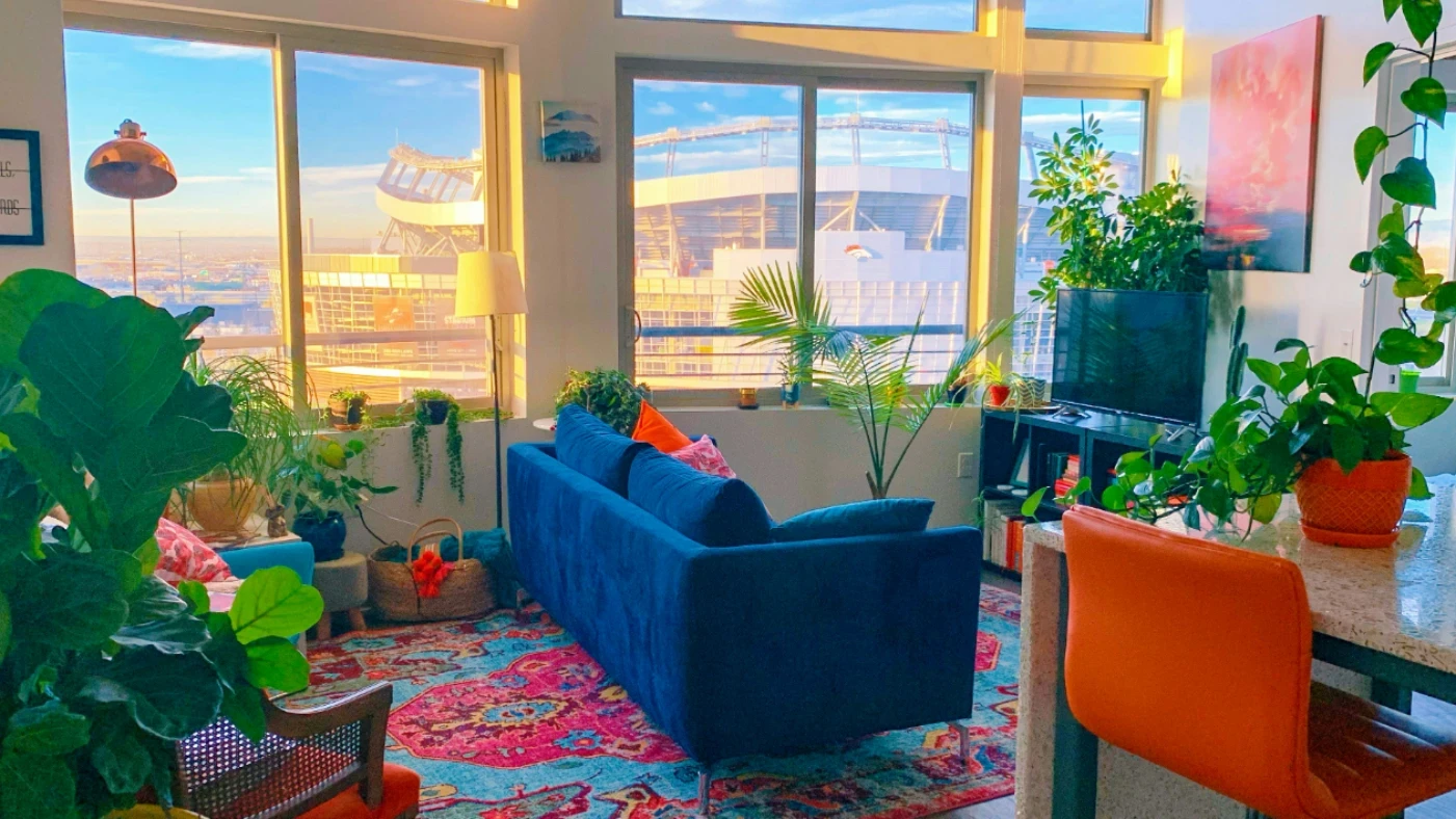 בין קרנבל צבעוני לשקט לבן