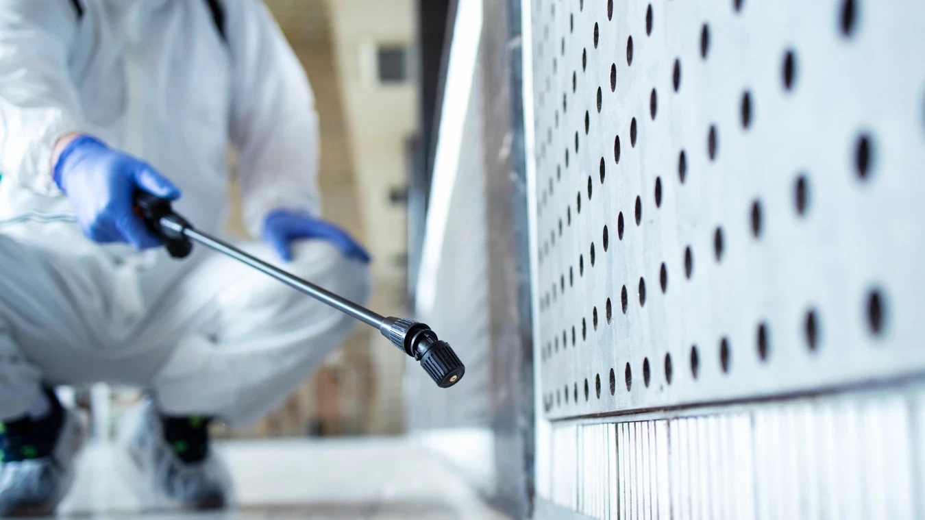 שלבים חשובים לפני ריצוף וחיפויים